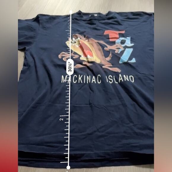 Vintage 90s Looney Tunes Taz Mackinac Island Short‎ Sleeve Tee Shirt Size L - Picture 8 of 8